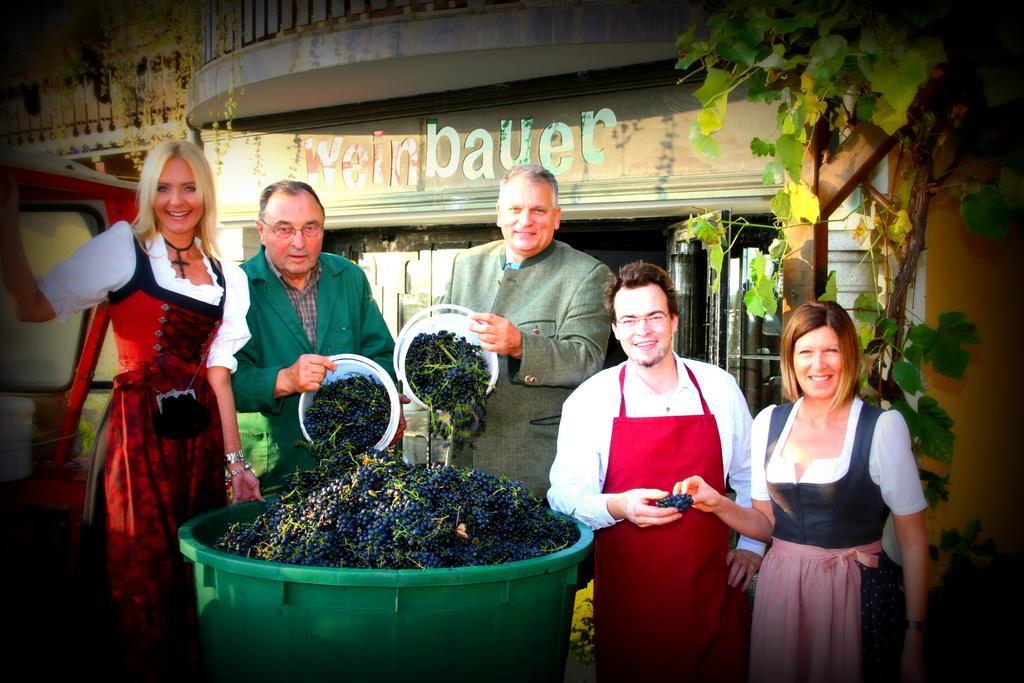 Pension Weinbauer Hofkirchen im Traunkreis Екстер'єр фото